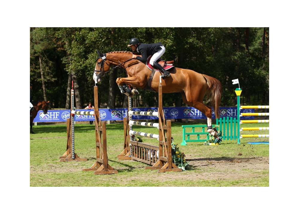 Vauban du Trio (Nervoso X Désir du chateau)