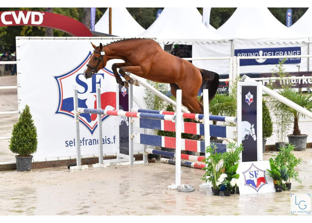 Islabonita de Bel Air (NERVOSO x DALTON VAN HET LINDEHOF)