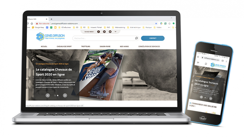 Bienvenue sur le nouveau site Etalons de Gènes Diffusion